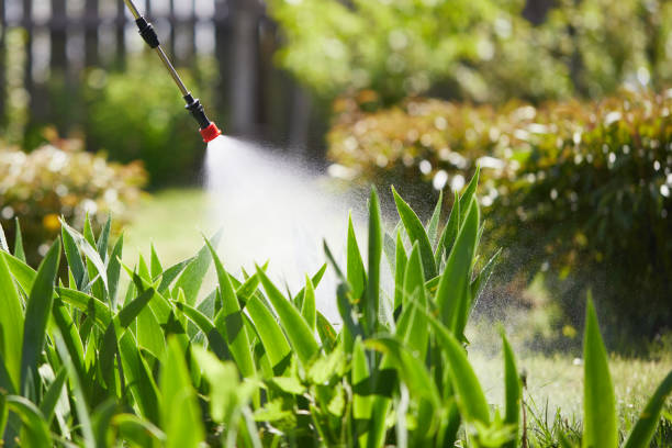 Tamper-Resistant Bait Stations for Rodents in Homer
