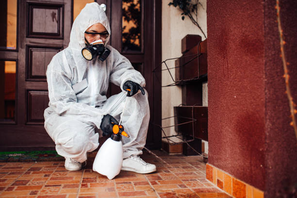 Attic and Crawl Space Rodent Treatment in Homer