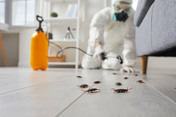 Commercial Rodent Management in Homer